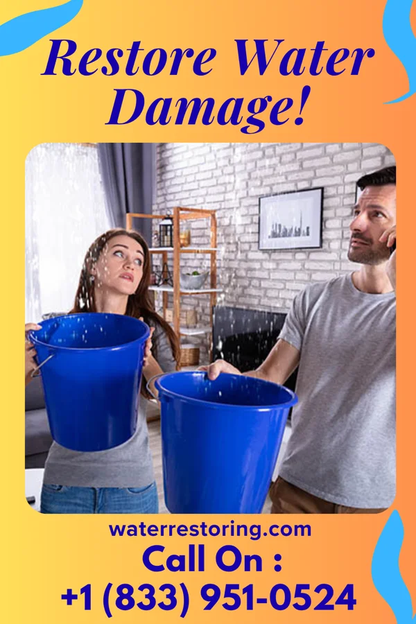 water restoration Ace Water Repair Partners Eldridge